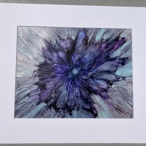 Purple Chrysanthemum